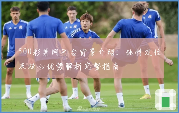 500彩票网平台背景介绍：独特定位及核心优势解析完整指南